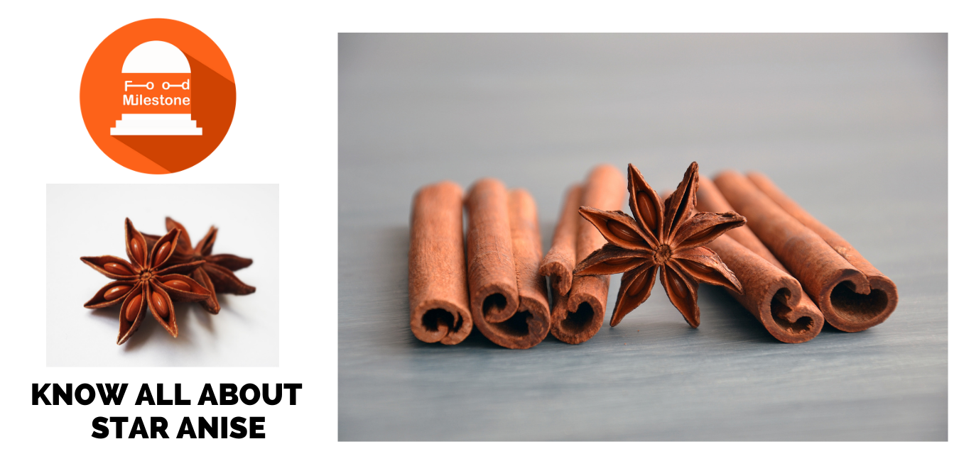 Overview of Star Anise | Amazing Health Benefits and Uses